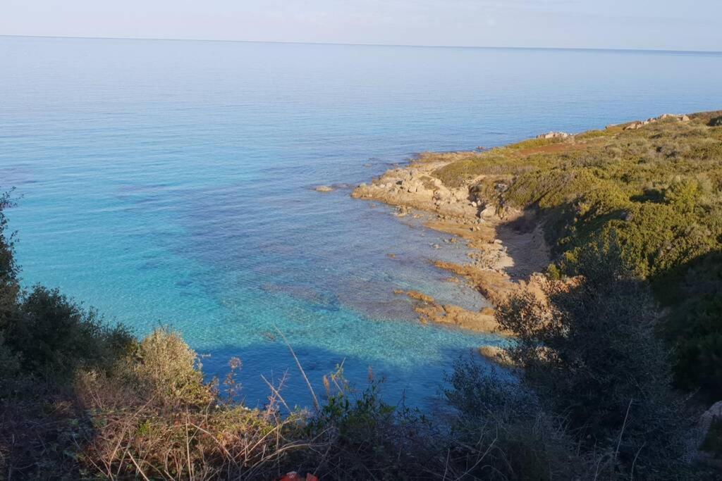 Monticello, Ile-Rousse - Residence Fiore Di Mare Εξωτερικό φωτογραφία